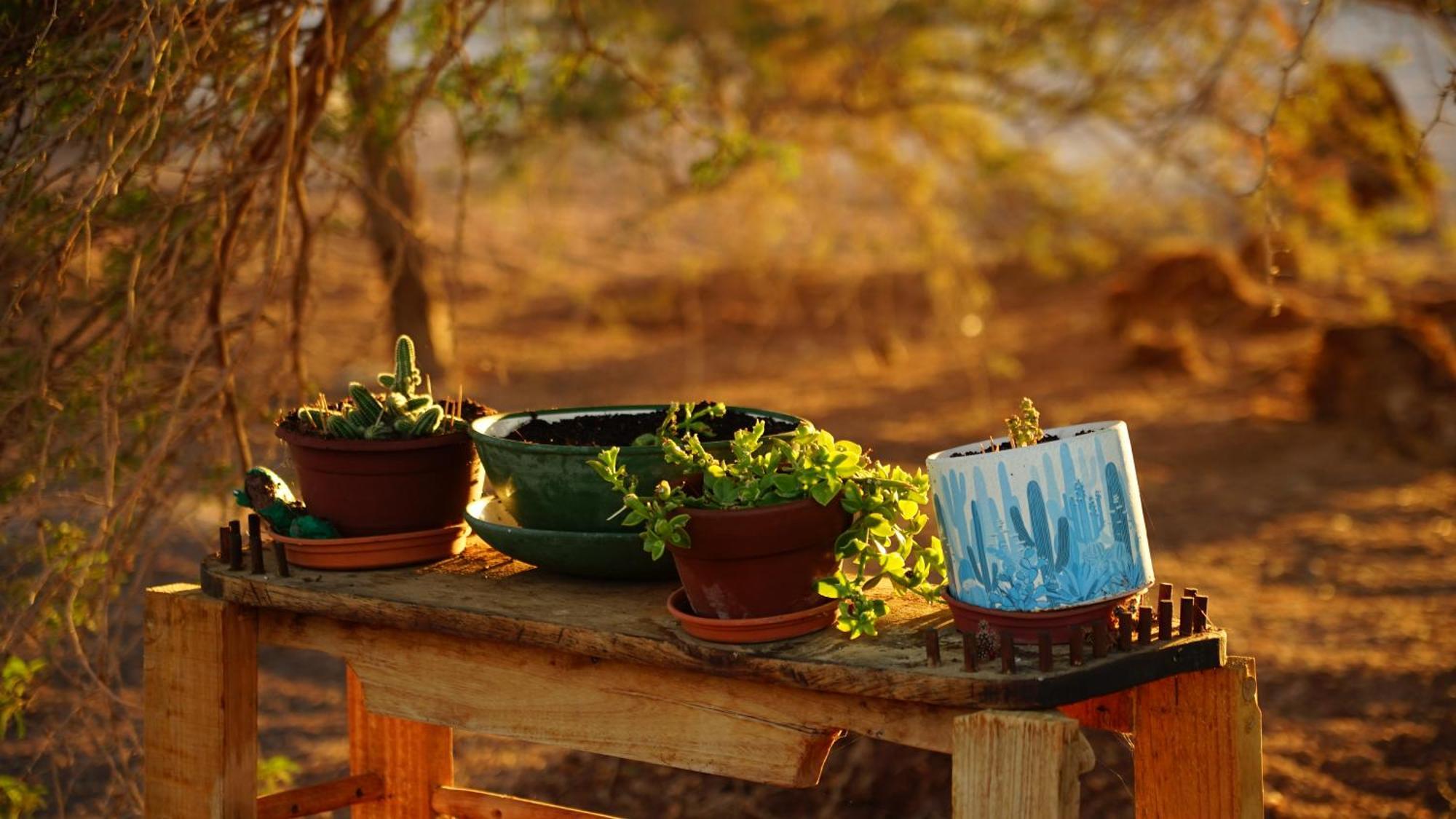 הוילה La Huaica El Huarango Eco Retreat מראה חיצוני תמונה